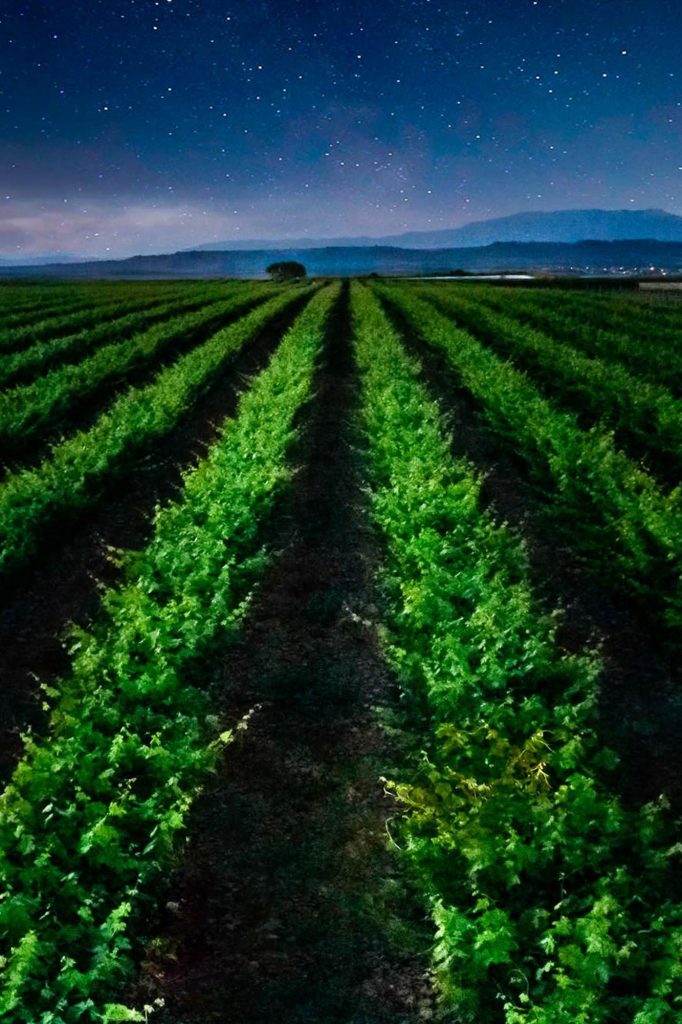 foto nocturna y aerea con dron de unas viñas de la rioja realizada por fotograma empresas de vitoria