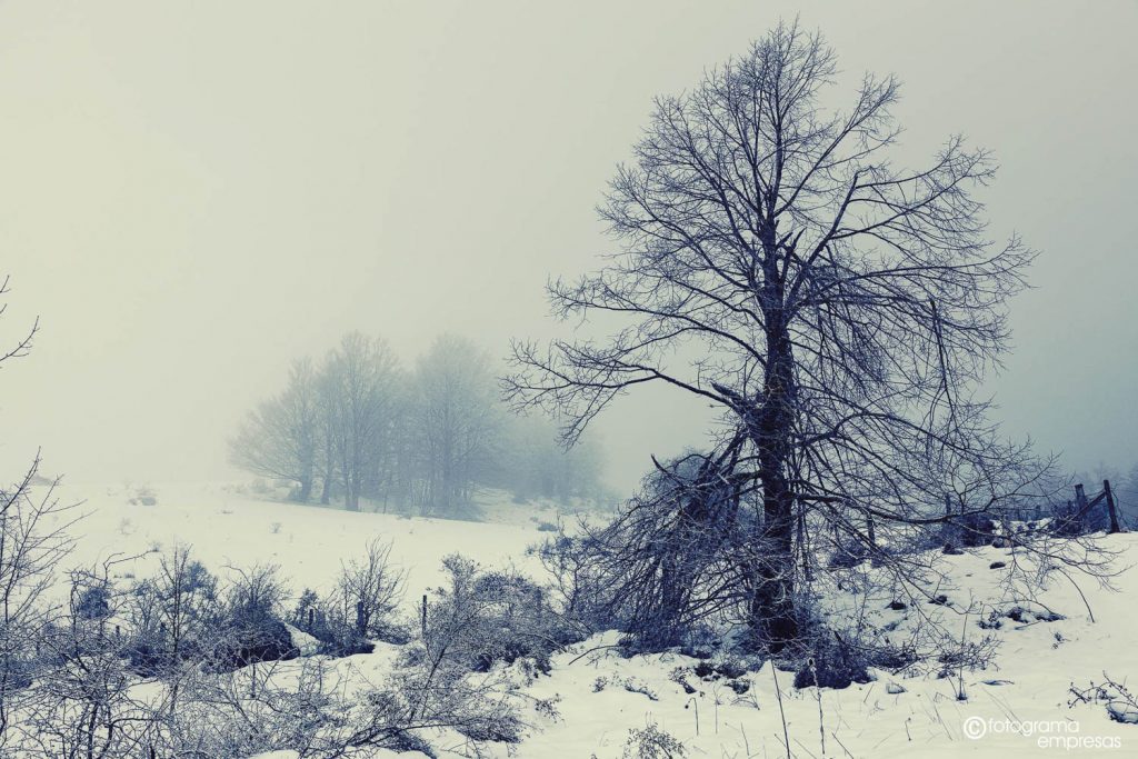 foto del puerto de azazeta nevado realizada por fotograma empresas de vitoria