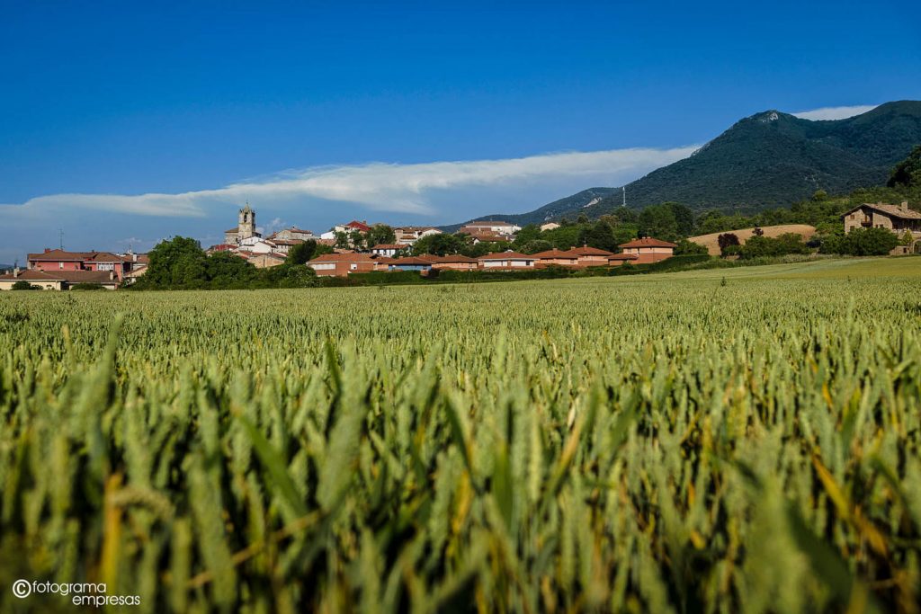 foto de vista general con un campo de trigo del pueblo de santa cruz de campezo realizada por fotograma empresas de vitoria