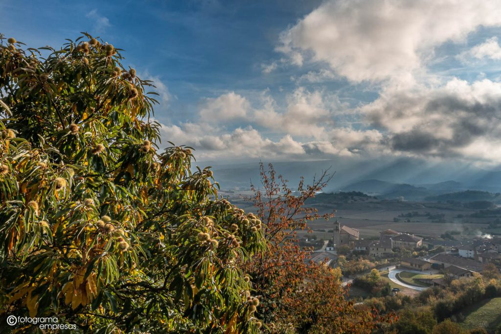 foto de una vista del pueblo apellaniz y castañas en el árbol realizada por fotograma empresas de vitoria