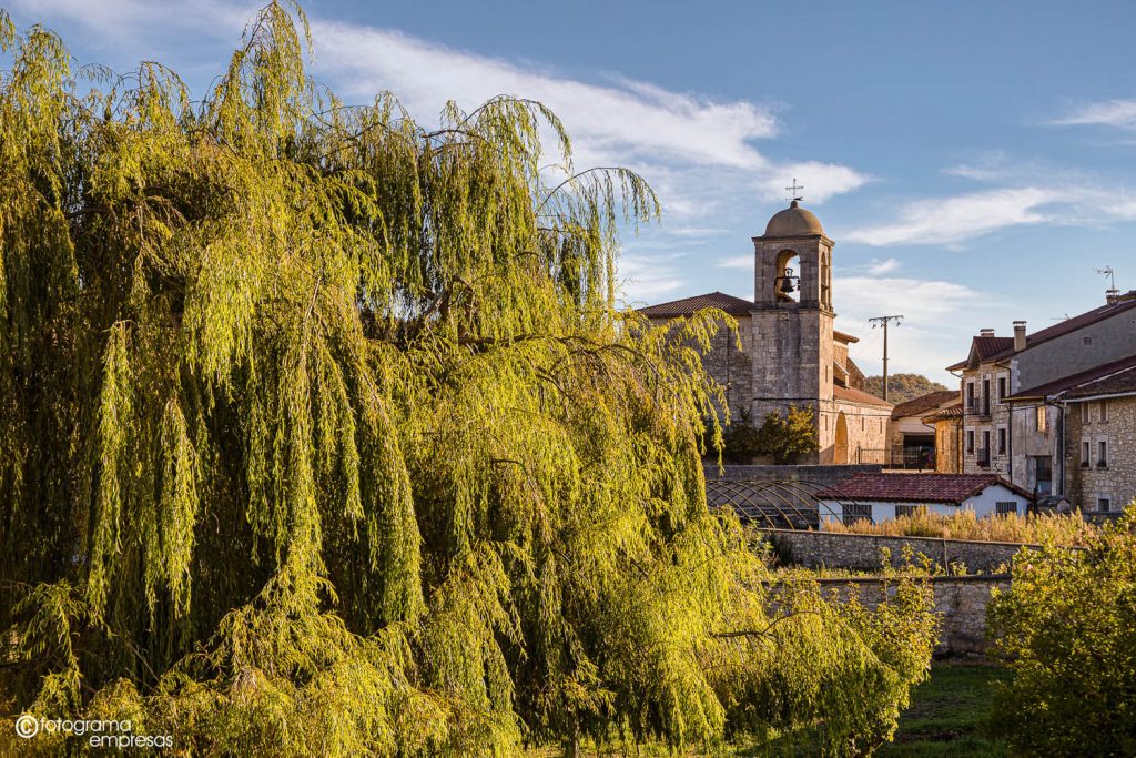 foto de la iglesia del pueblo alavés de baroja entre los árboles realizada por fotograma empresas de vitoria